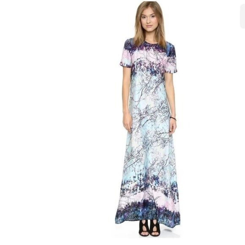 BCBG Maxazria Elena Maxi Dress